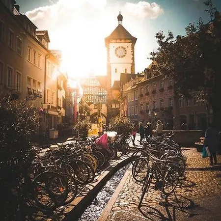 Historical Luxury Homes - Luxus Colloseum Фрайбург