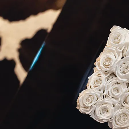 Апартаменты Historical Luxury Homes - Luxus Colloseum Фрайбург